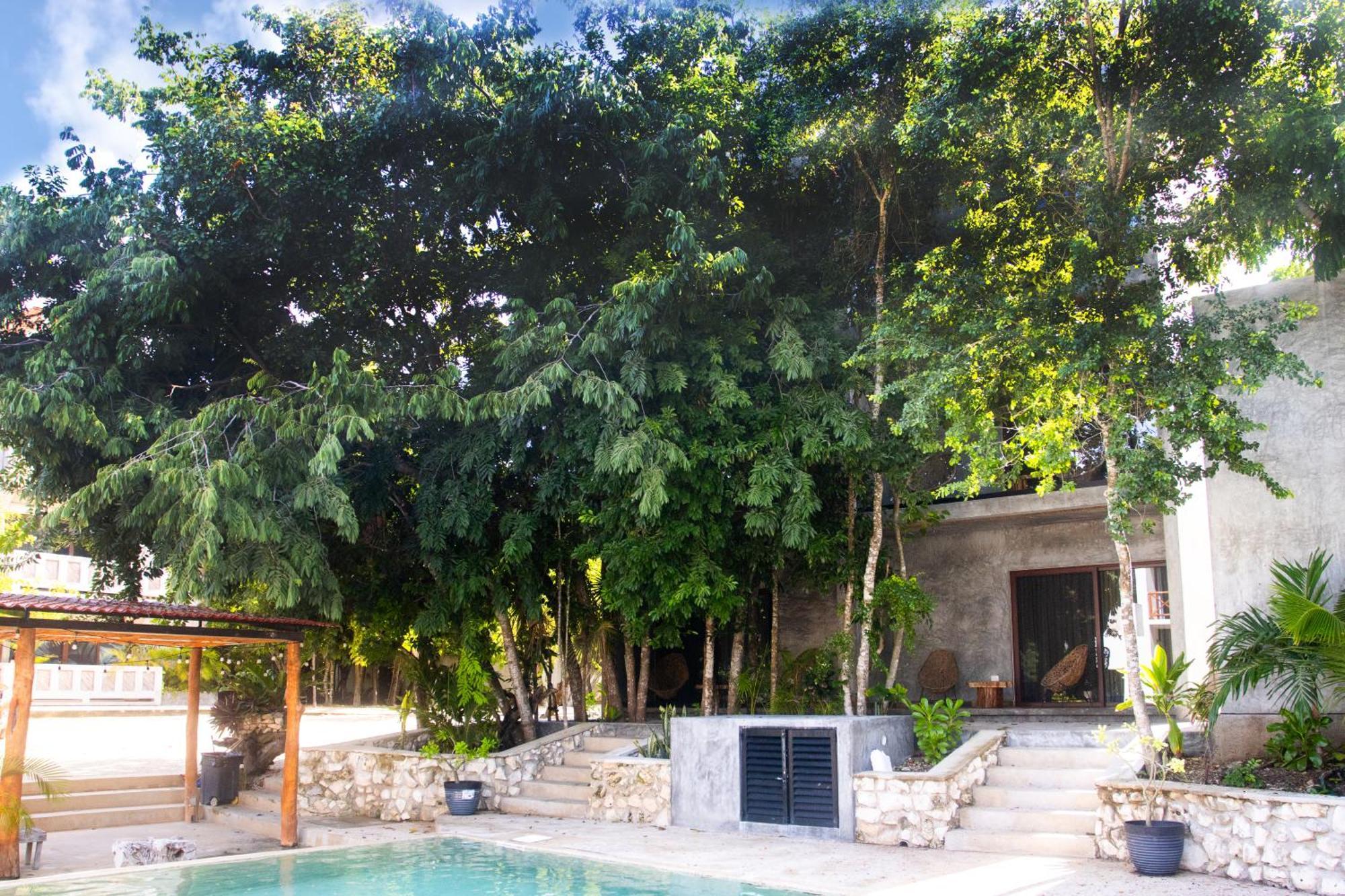 Hotel Casa Tortuga Tulum - Cenotes Park Inclusive Екстер'єр фото Casa Periódica, Mérida, Yucatán, Mexico
