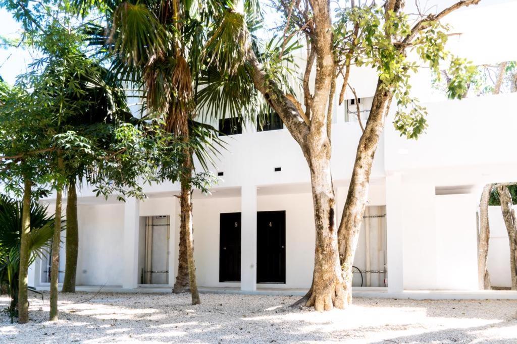 Hotel Casa Tortuga Tulum - Cenotes Park Inclusive Екстер'єр фото The house of the writer, in Mérida, Yucatán.